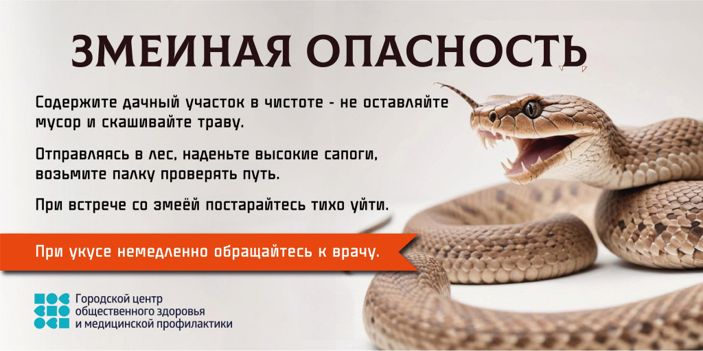 баннер.jpeg